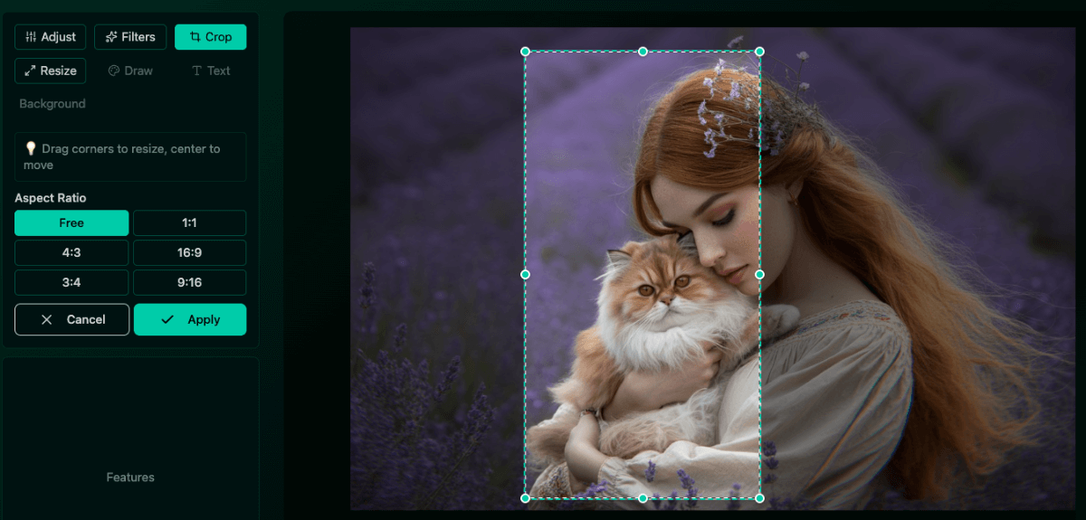 PhotoEditBuddy Editor Preview