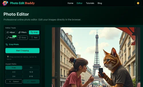 Step 4: Crop and Resize Your Image