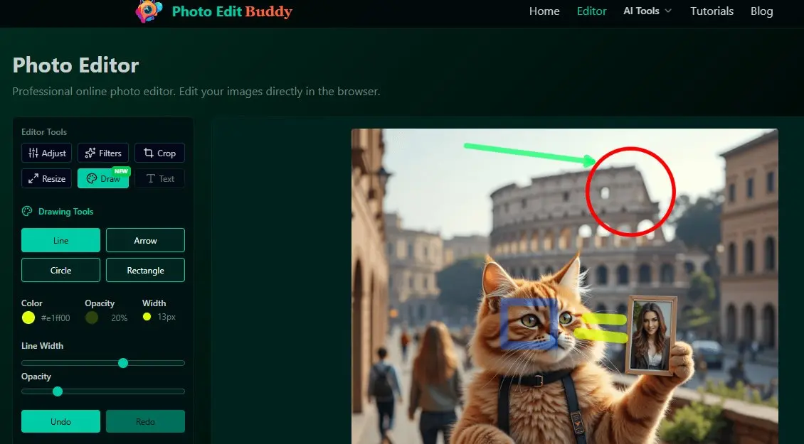 Drawing on photos online